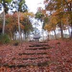 「鶏足寺」紅葉