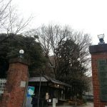 東京藝術大学のオルガン