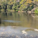 神宮「特別参拝」