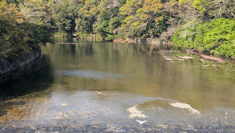 神宮「特別参拝」