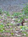 三浦綾子記念文学館「もみの木公園」旭川