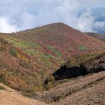 2025.11.13（木）13:00「おきがるタイム」FM816　vol.302