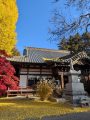 清龍山「長円寺」の一行寺楓