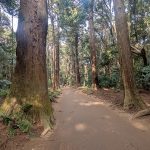 鹿島神宮《四方拝の一》東国三社